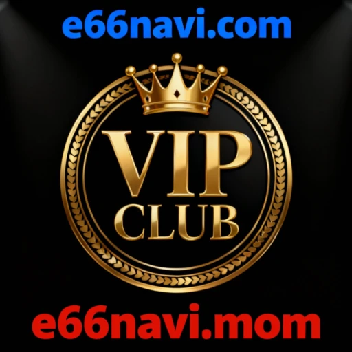 e66navi.com logo